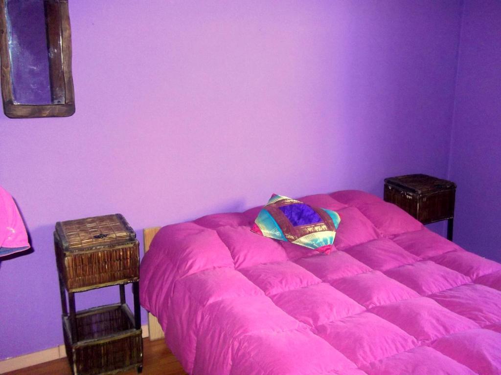 הוסטל אל בולסון Cabanas Pehuenia חדר תמונה